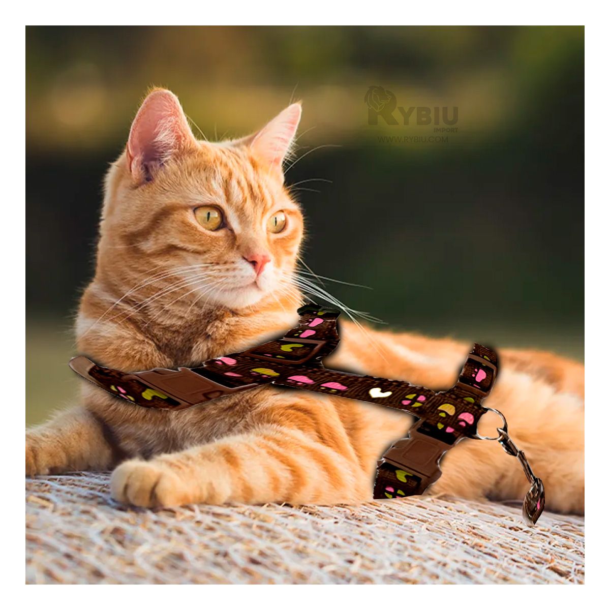 RYBIU IMPORT - Tirante de Pecho de Conejo en Marron Y+Banderitas adhesivas