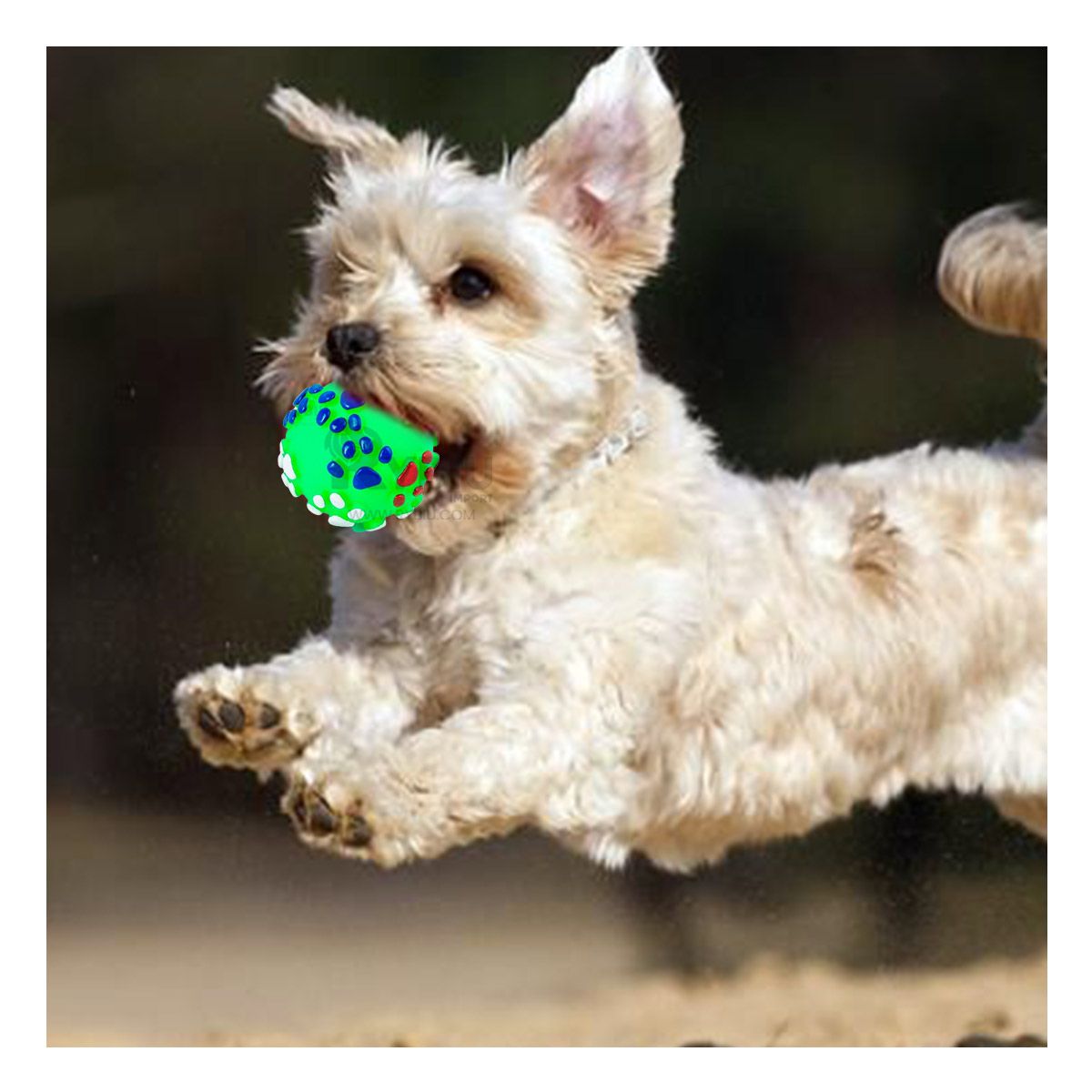 GENERICO - Pelota para Mascotas Talla L Verde Y+Papel de Regalo