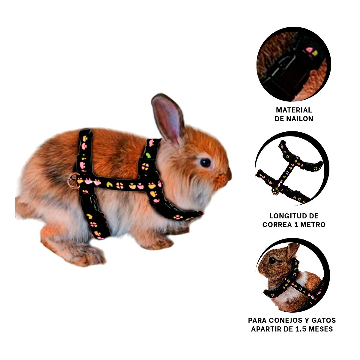 GENERICO - Correa Resistente para Conejo Delgada en Negro Y+Agendita