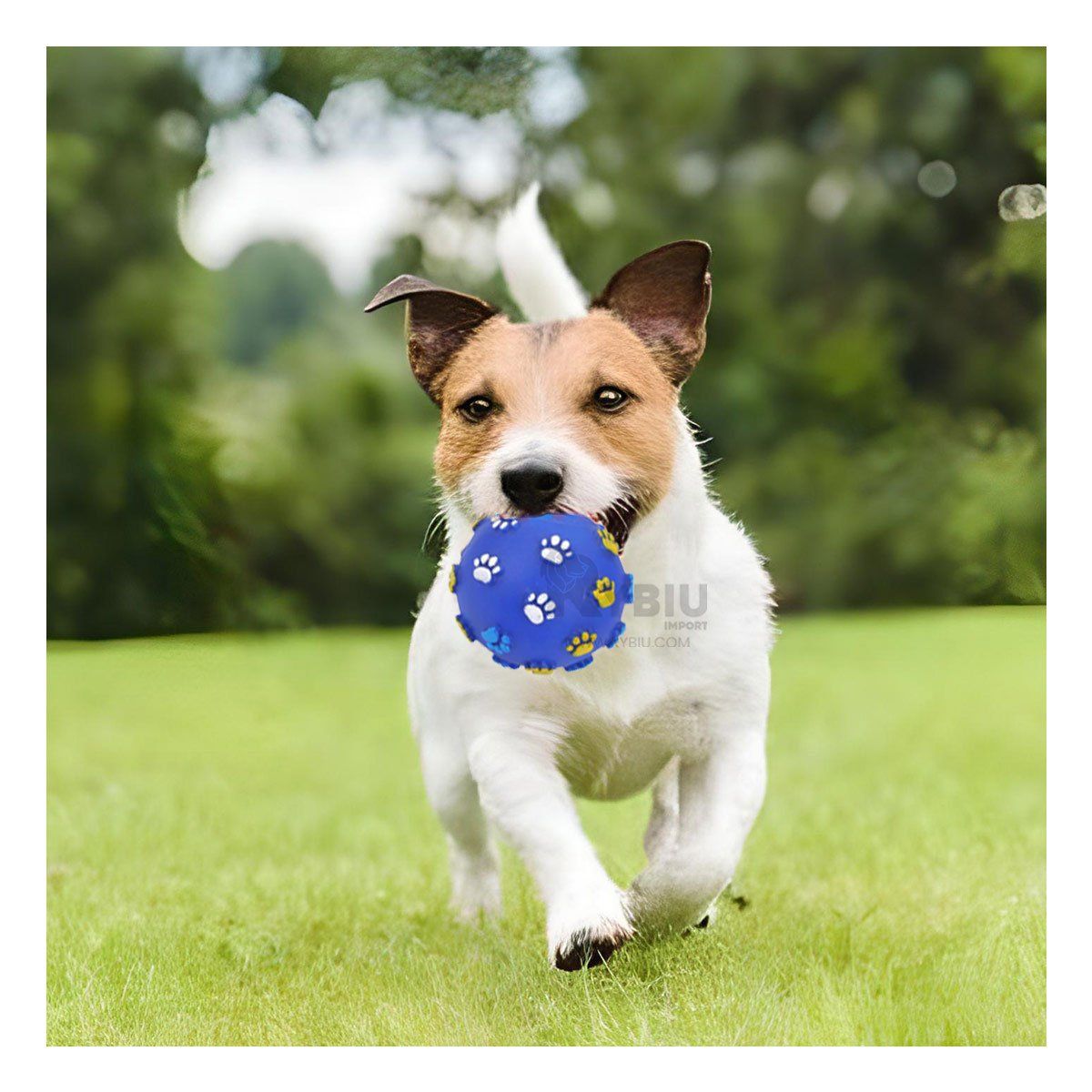 GENERICO - Pelota para Mascotas en Tamaño Azul Y+Papel de Regalo