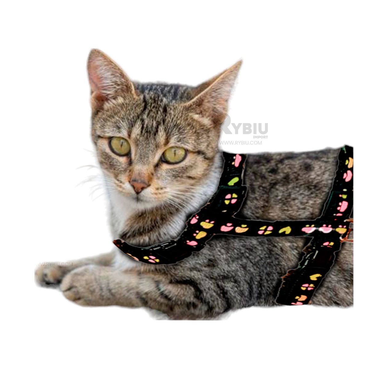 GENERICO - Arnes Ajustable para Conejo Delgado Negro Y+Papel de Regalo