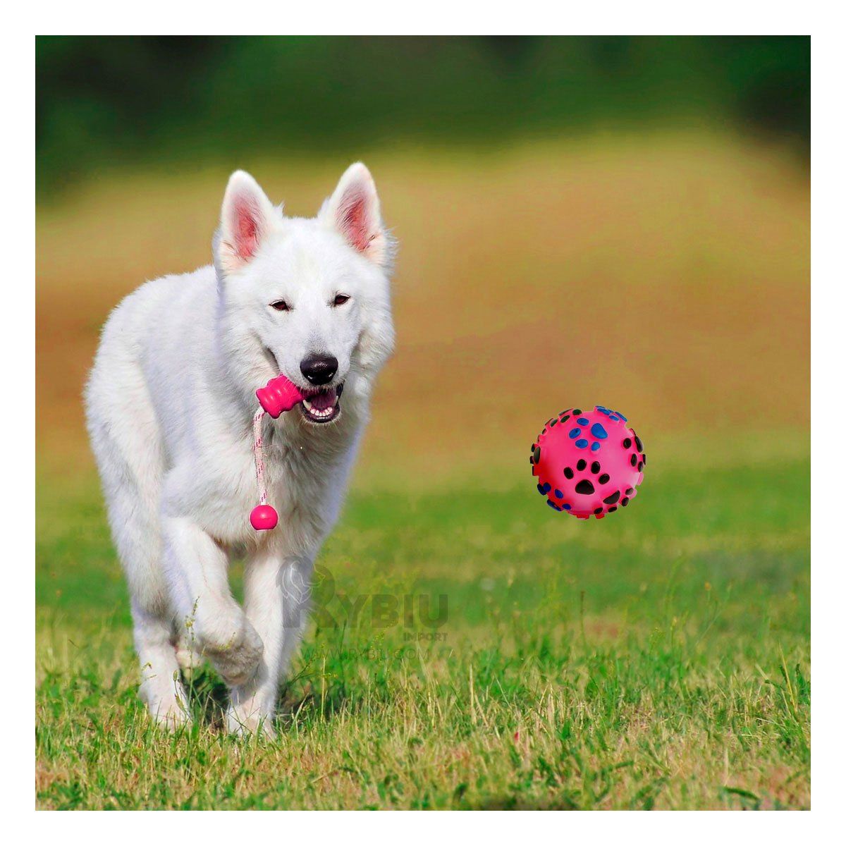 GENERICO - Pelota con Huellitas de Plastico en Color Rosado