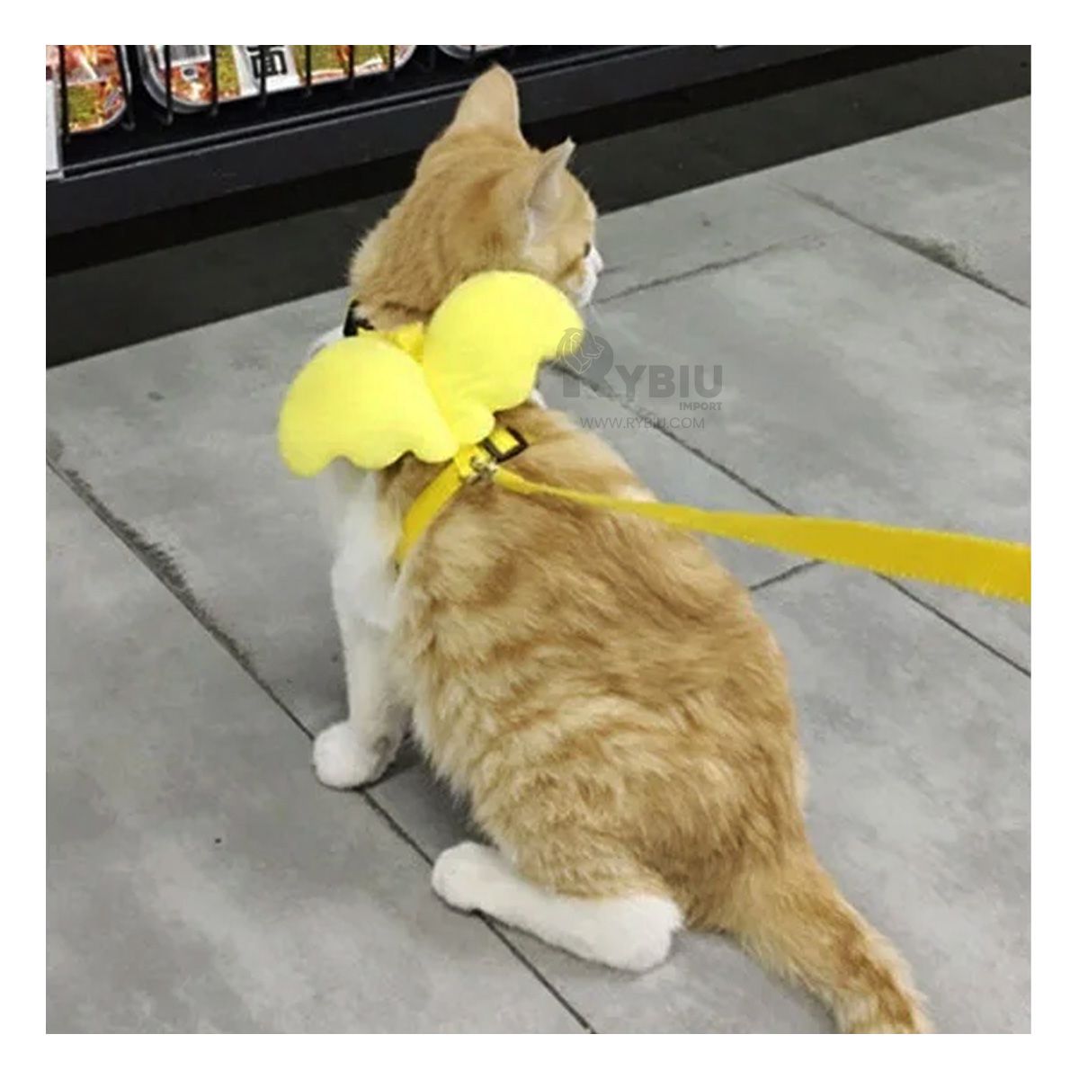 GENERICO - Arnes de Paseo para Gatos en Amarillo Y+Papel de Regalo