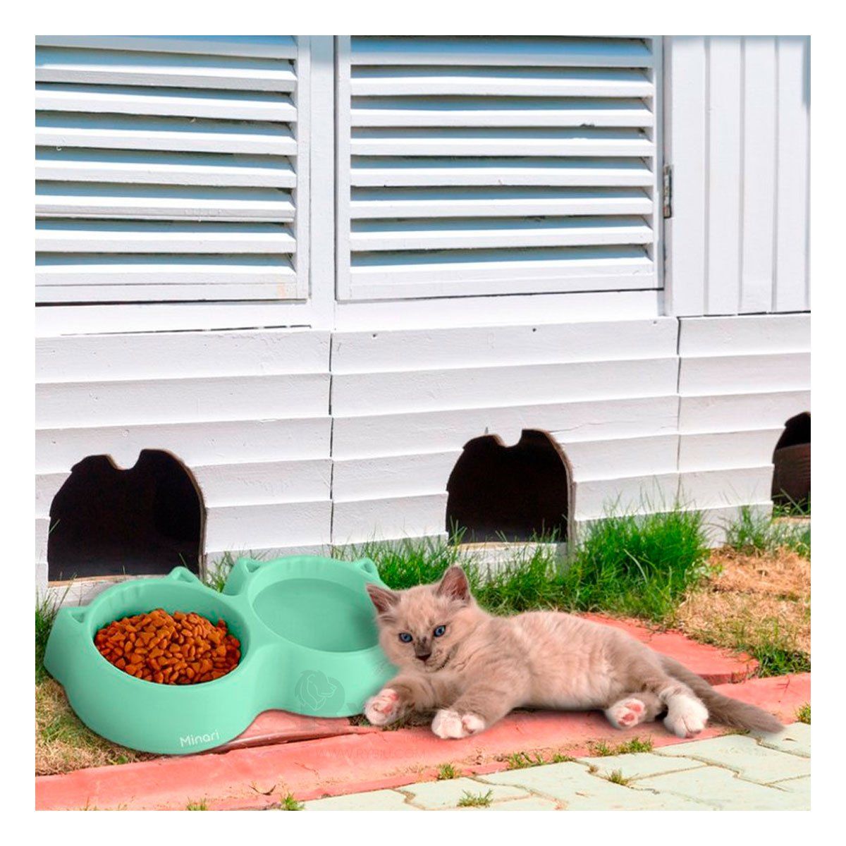 GENERICO - Plato Doble Forma de Orejitas para Gato Color Verde