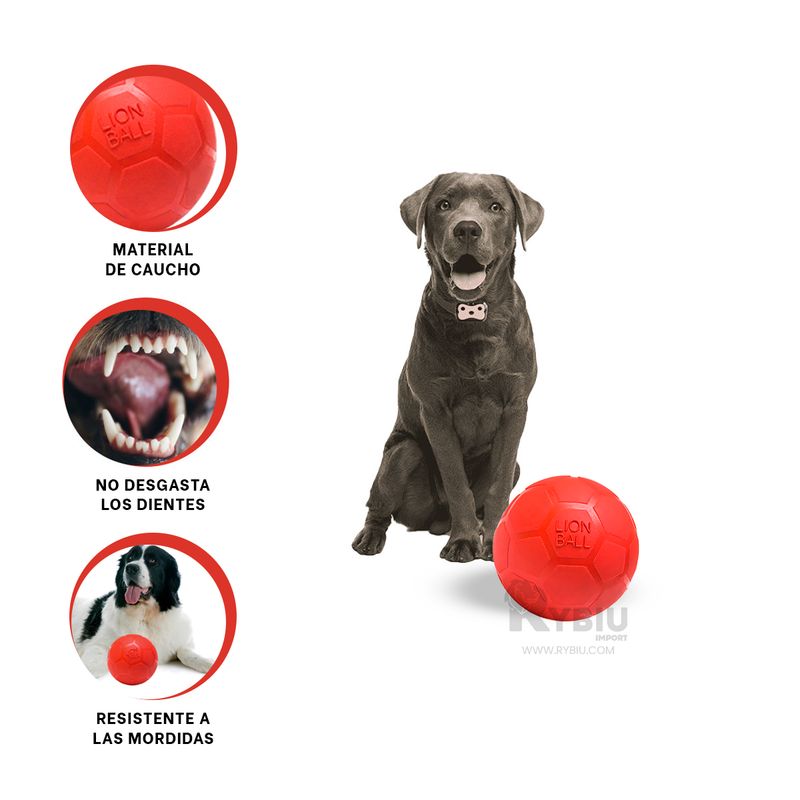 RYBIU IMPORT - Balon Facil de Lavar en Tono Rojo Y+Post-it Adhesivos