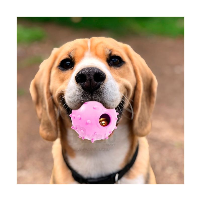 GENERICO - Pelota de Jebe Funcional con Puntos de Color Rosado