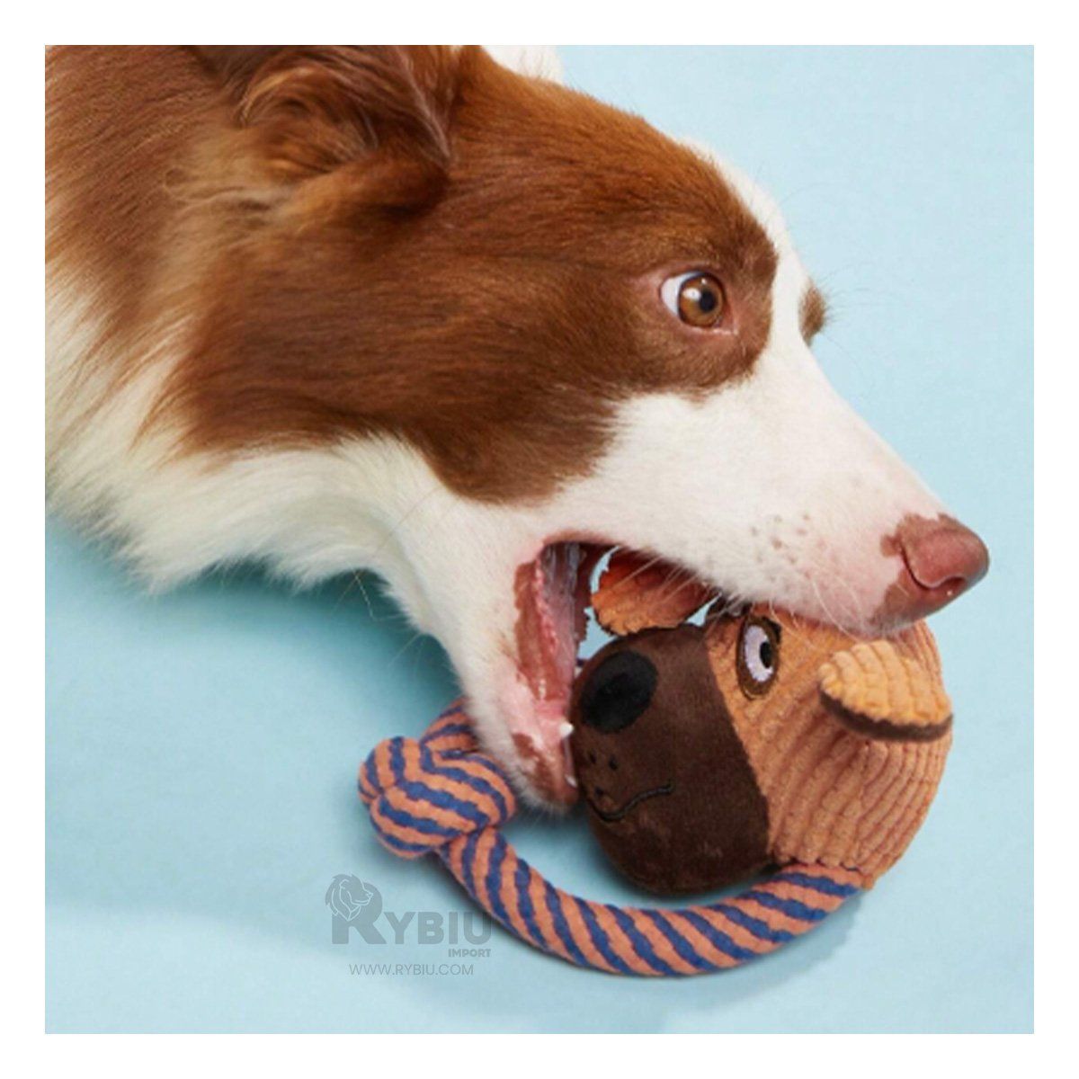 GENERICO - Peluche Duradero con Soga Pet en Forma de Perro