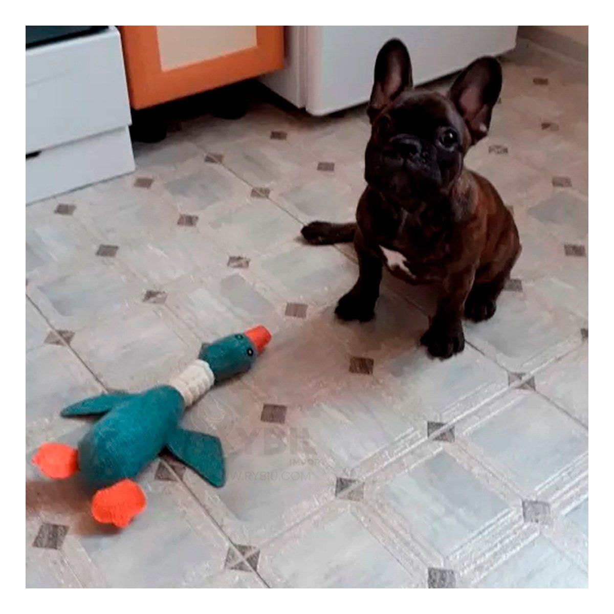 GENERICO - Peluche de Textura Suave de Pato en Tono Verde Y+Agendita