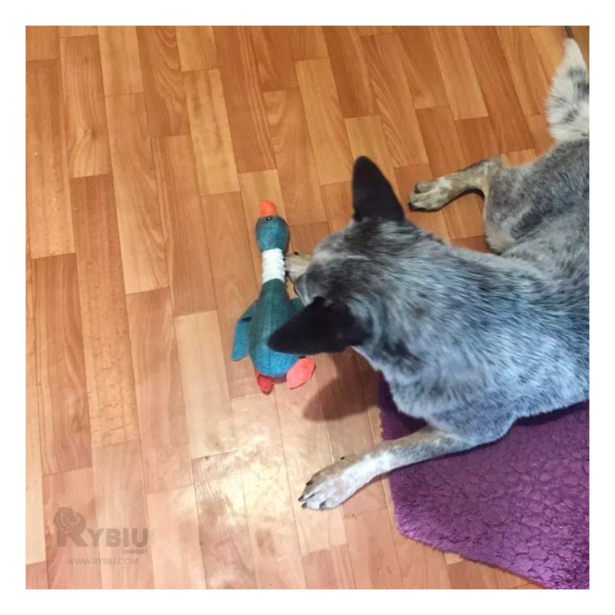 GENERICO - Peluche de Textura Suave de Pato en Tono Verde Y+Agendita