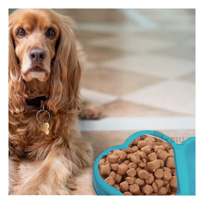 GENERICO - Plato para Mascotas de Plastico Color Celeste Y+Stickers