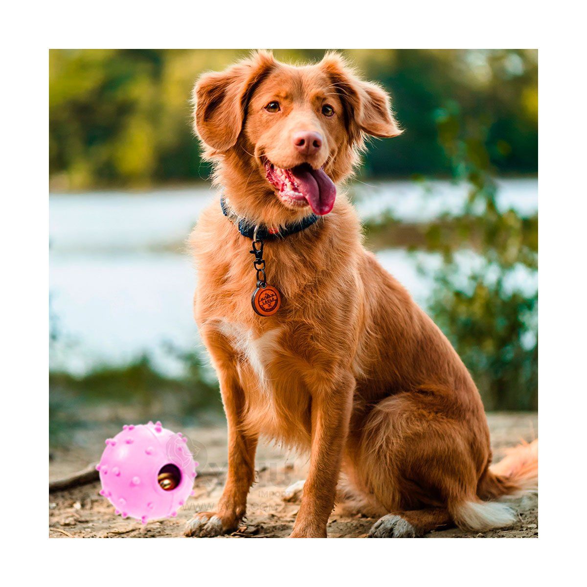 GENERICO - Juguete para Mascotas en Color Rosado Y+Regalo Stickers