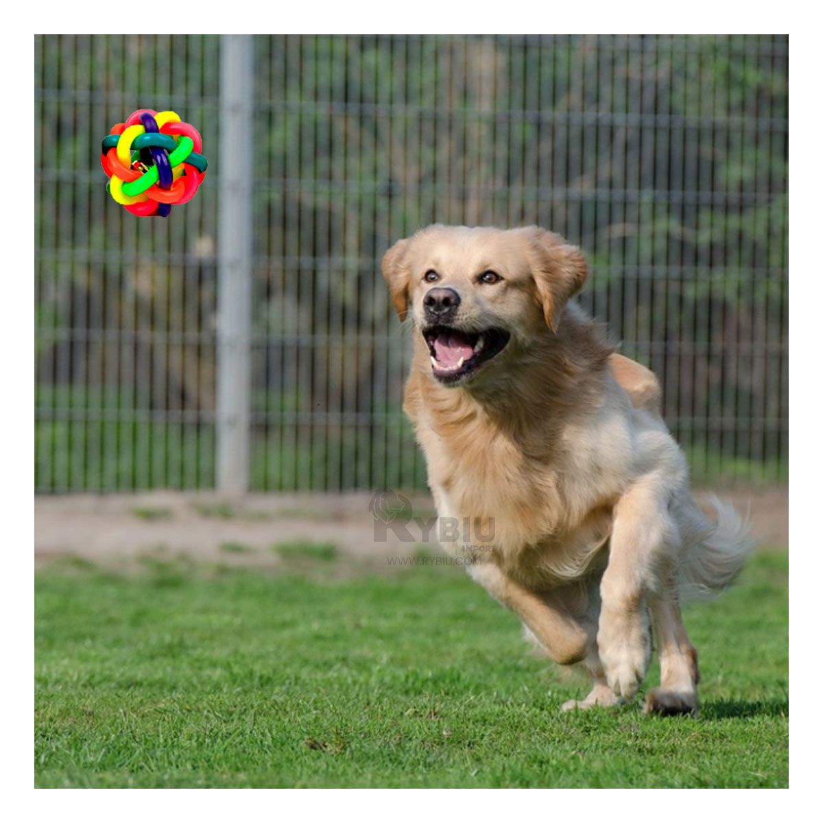 GENERICO - Pelota para Mascotas en Multicolor Y+Papel de Regalo