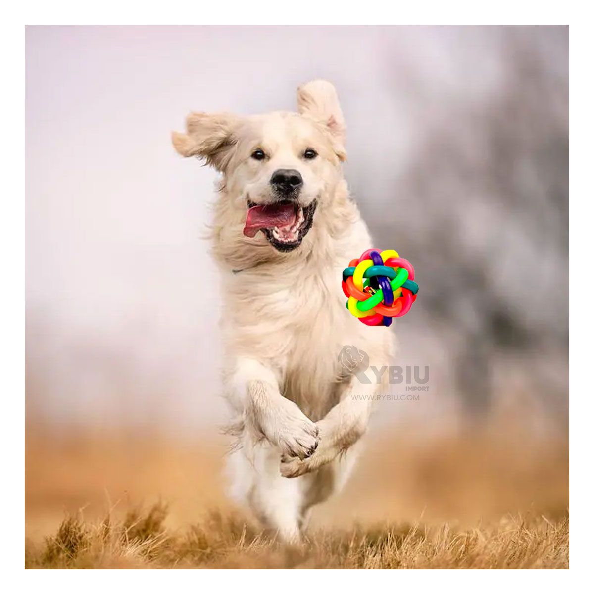 GENERICO - Pelota para Mascotas en Multicolor Y+Papel de Regalo