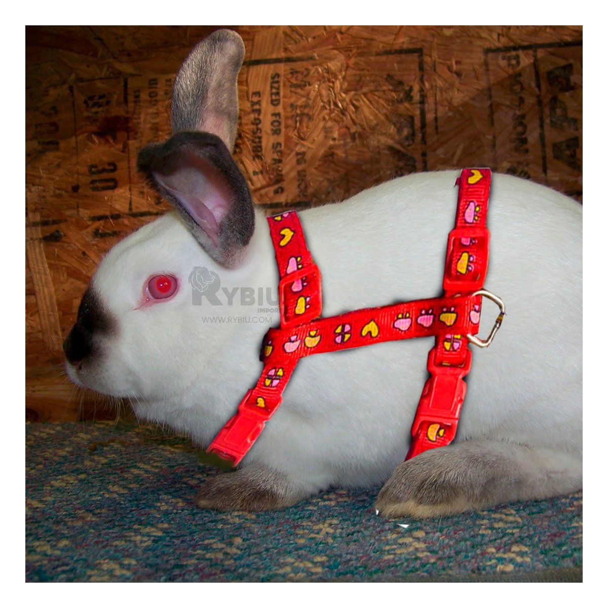 RYBIU IMPORT - Pechera de Seguridad para Conejo en Rojo Y+Post-it adhesivos