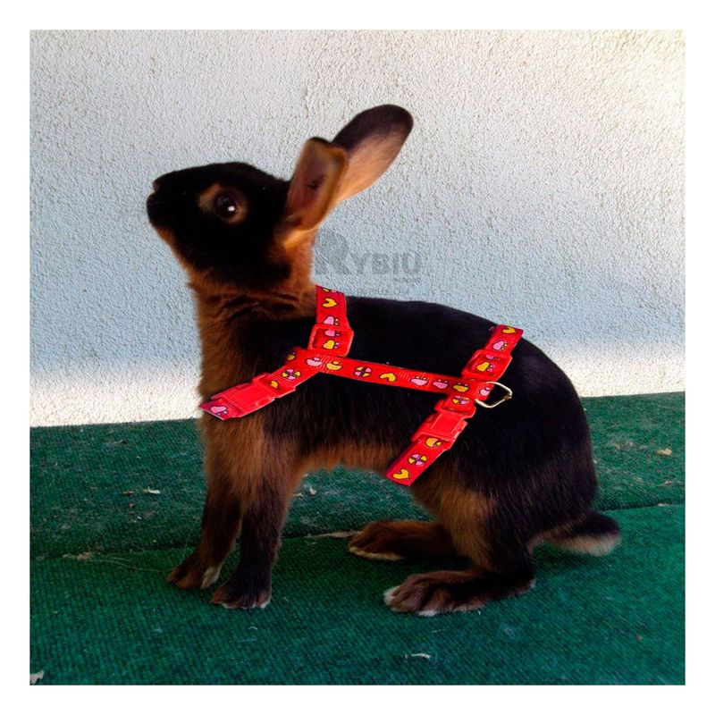 RYBIU IMPORT - Pechera de Pecho para Conejo en Rojo Y+Banderitas adhesivas