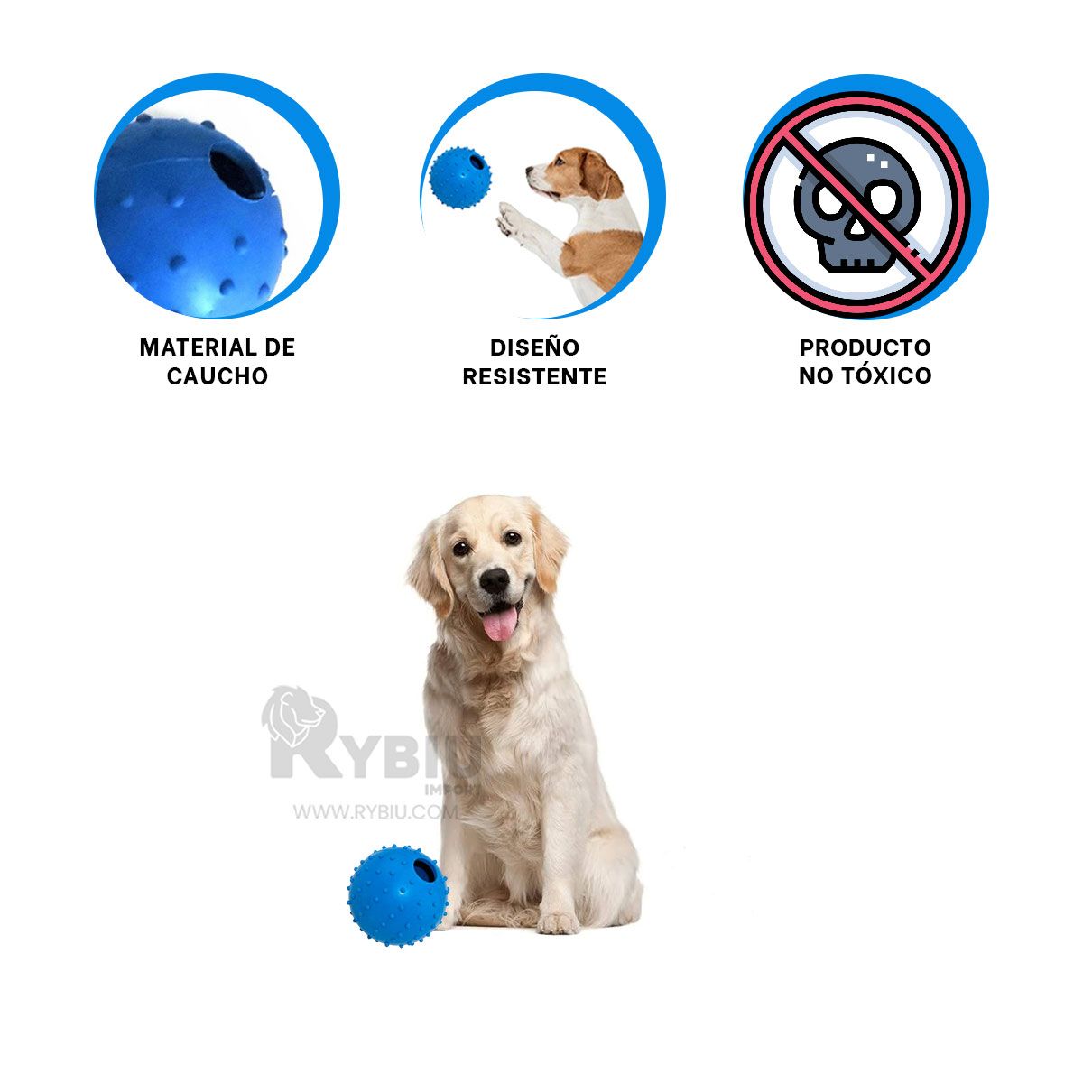 GENERICO - Balon Recreativo para Mascota en Azul Y+Post-it Adhesivos