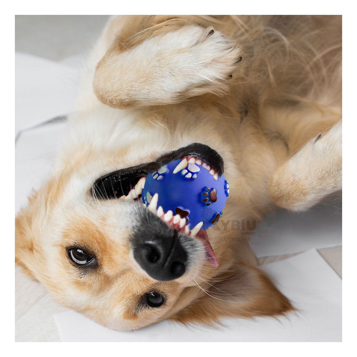 GENERICO - Pelota Chillosa para Perros con Esporas de Huellas en Azul