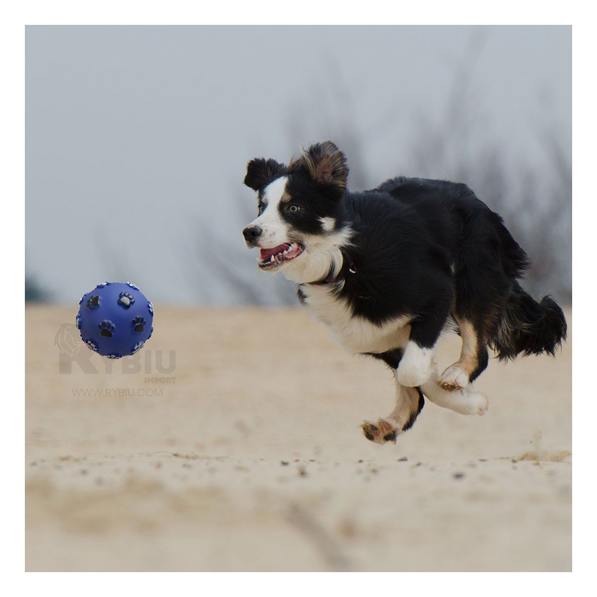 GENERICO - Pelota Chillosa para Perros con Esporas de Huellas en Azul