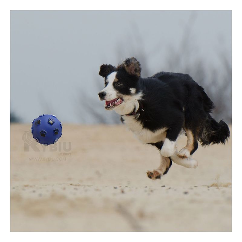 GENERICO - Pelota Engranada Canina en Tonalidad Azul Y+Papel de Regalo