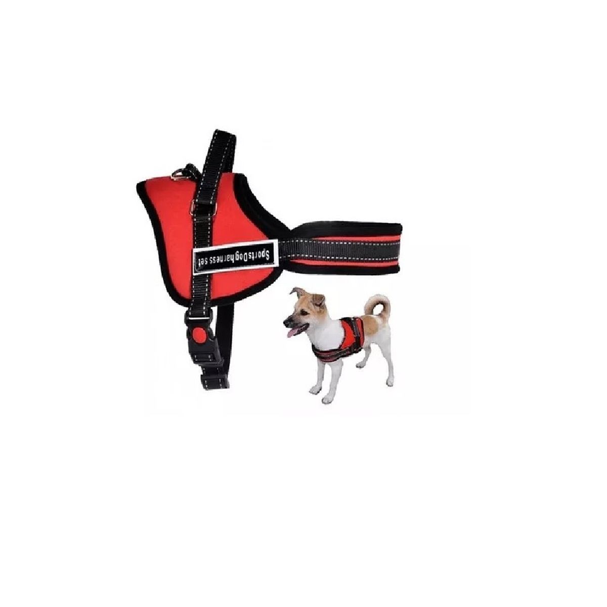 OTTOWARE - Arnés para Mascotas Dog Happy Talla XL