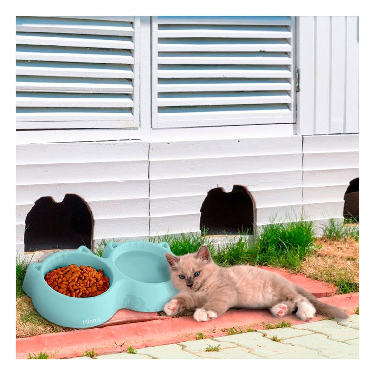 RYBIU IMPORT - Plato de Comida Doble para Gato en Celeste Y+Papel de Regalo