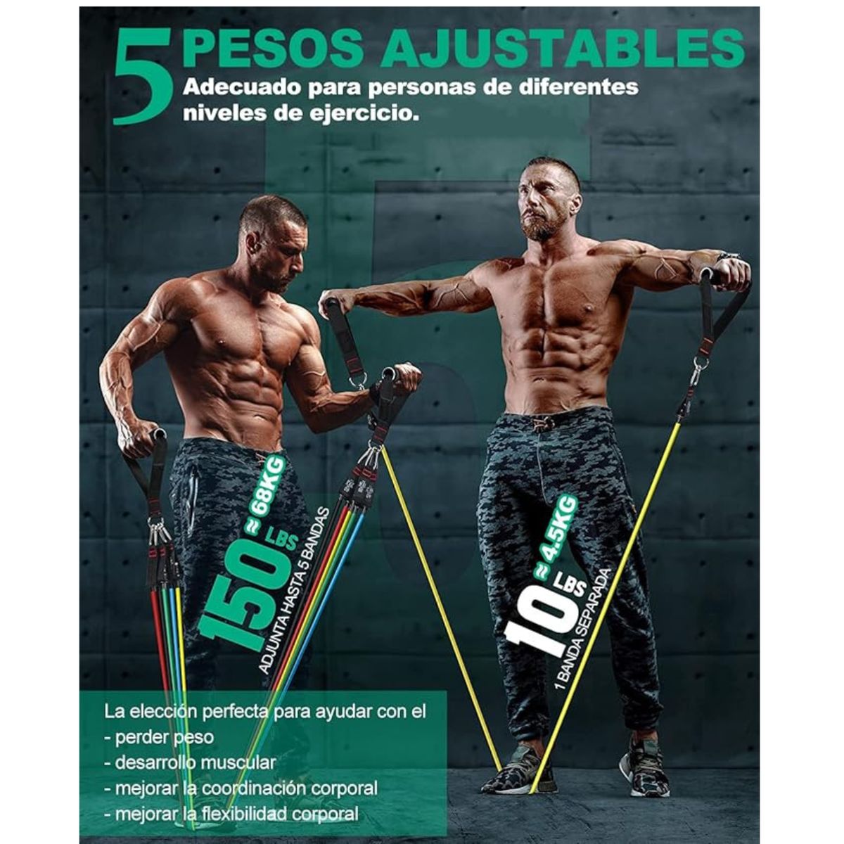 GENERICO - Set 5 Ligas x11pz elásticas de entrenamiento 150lb+ 5 Bandas