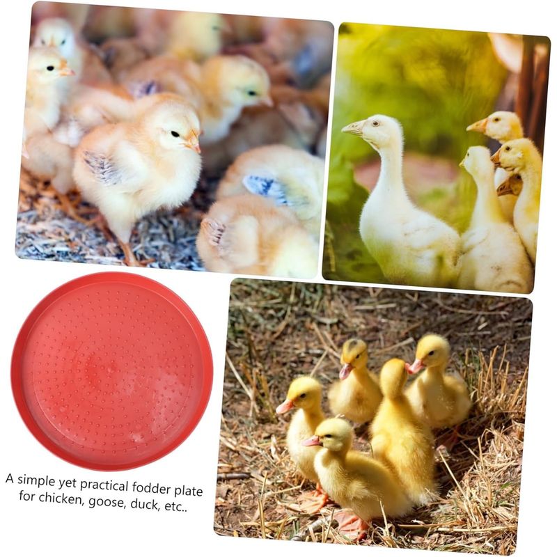 GENERICO - Pack x3 Bandeja comedero circular para pollo bb 50 cm