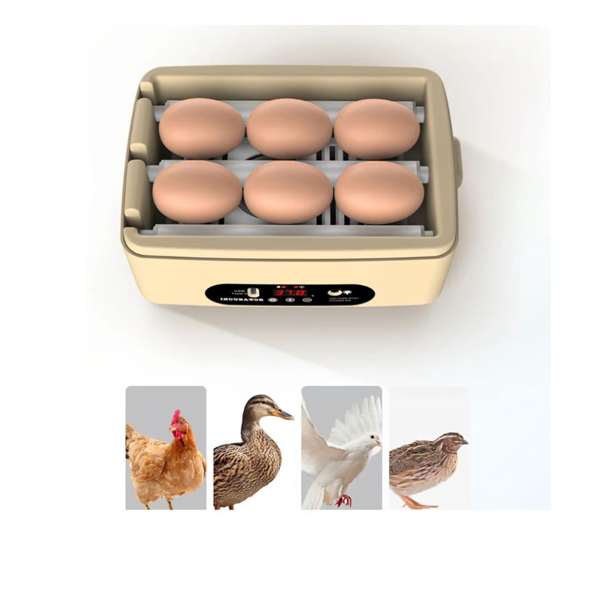 GENERICO - Mini Incubadora Automática Para 6 Huevos Con Ovoscopio