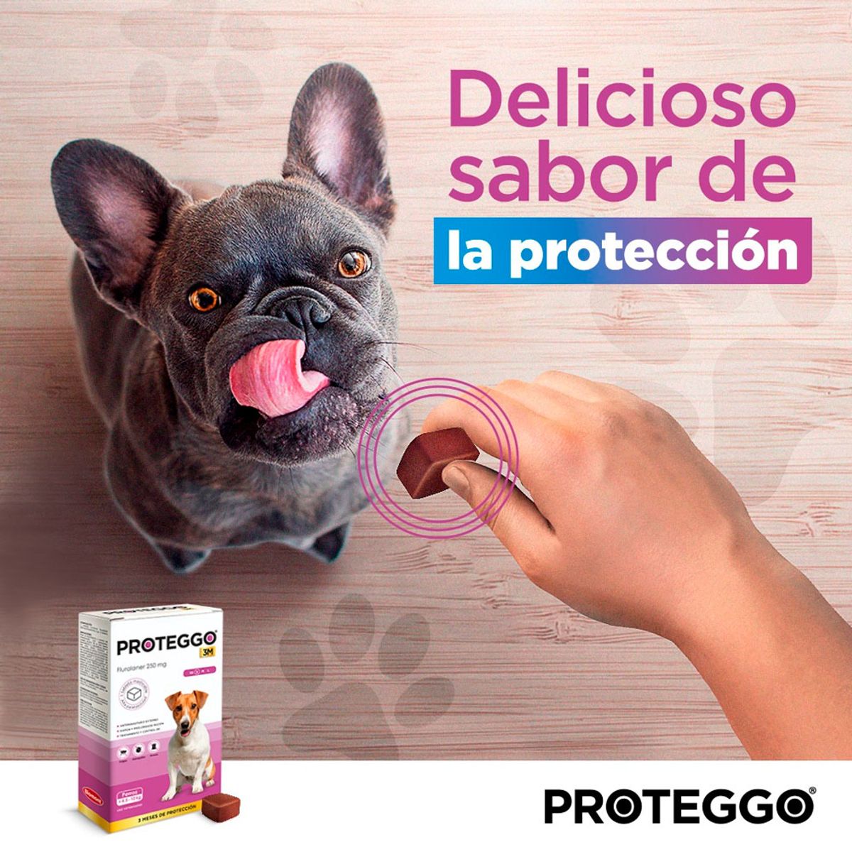 PROTEGGO - Antipulga Masticable Proteggo 1M para Perros de 4.5 - 10 kg
