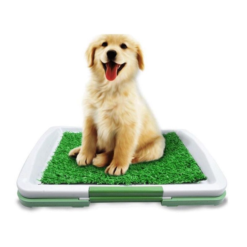 OTTOWARE - Baño Ecológico Portátil con Césped para Perros - Mediano