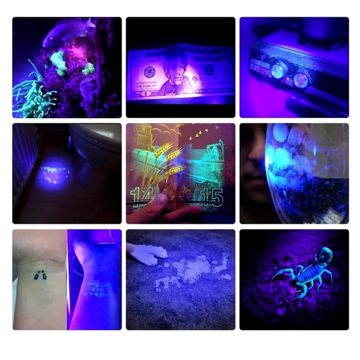 INTEC - Linterna Detector billetes Uv 395nm Luz ultravioleta