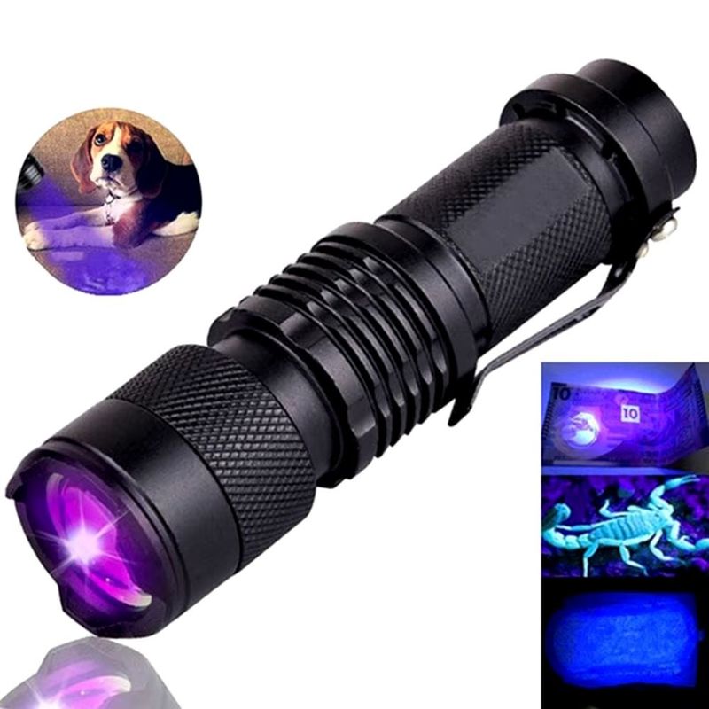 GENERICO - Detector Billetes Portatil En Linterna Luz Uv 365nm Con Zoom