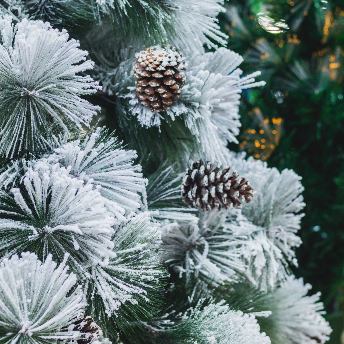 GENERICO - Pino Navideño Nevado NRP-210cm El Toque Mágico para tus Fiestas