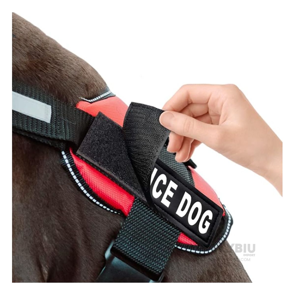 GENERICO - Arnes Pet con Diseño Rojo Talla S Y+Papel de Regalo