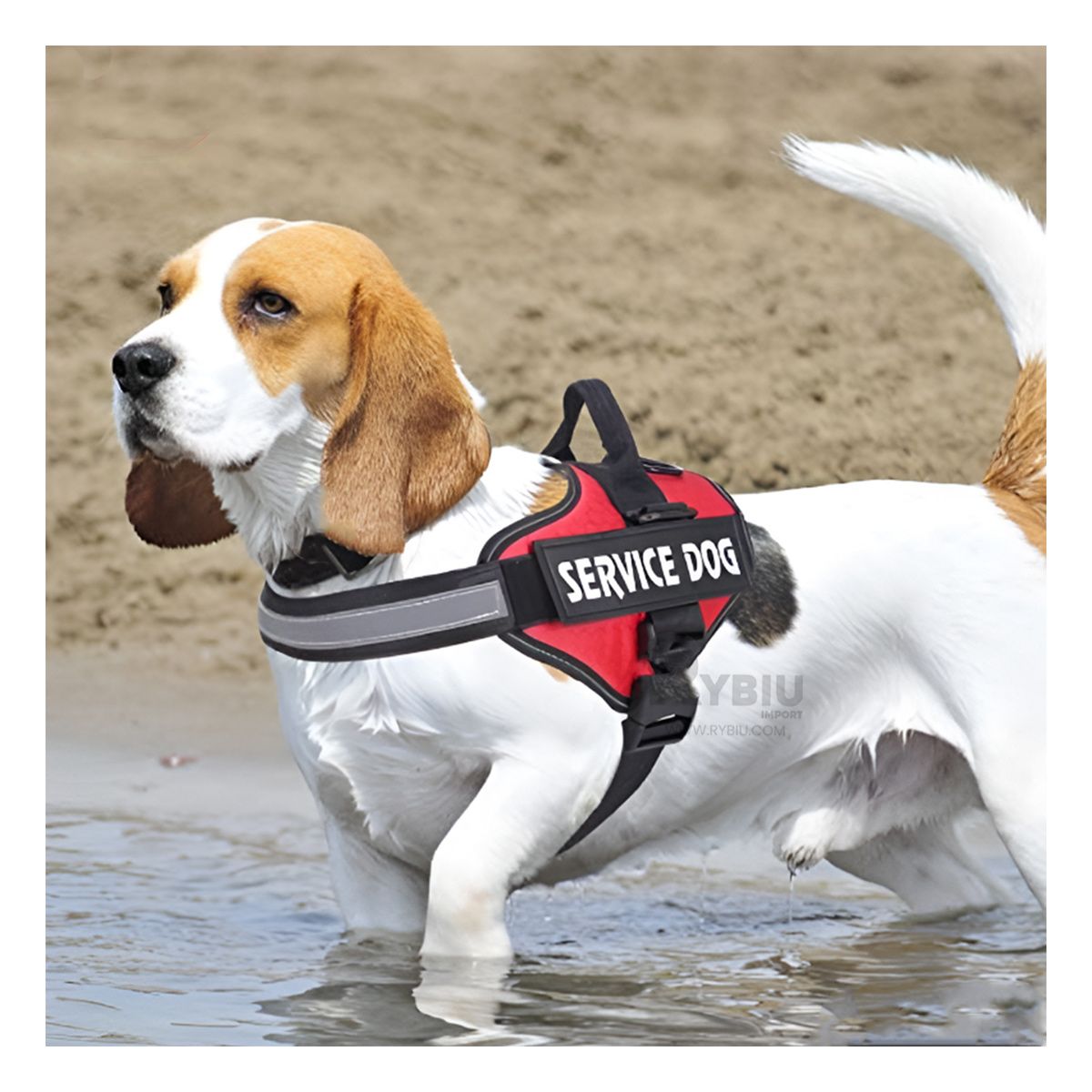 GENERICO - Arnes Pet con Diseño Rojo Talla S Y+Papel de Regalo