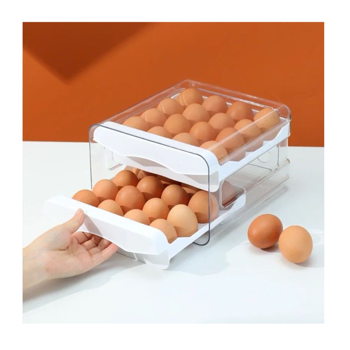 GENERICO - ENVASE DE PORTA HUEVOS