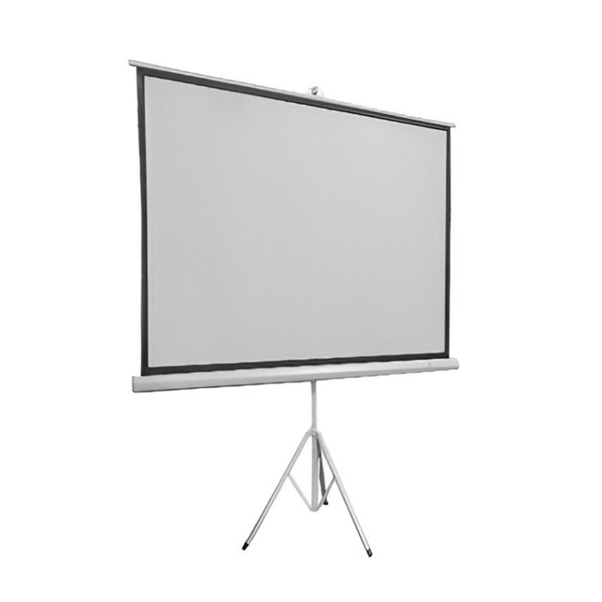 TEROS - Ecran con Tripode TEROS ID-TE-9063W Blanco Mate