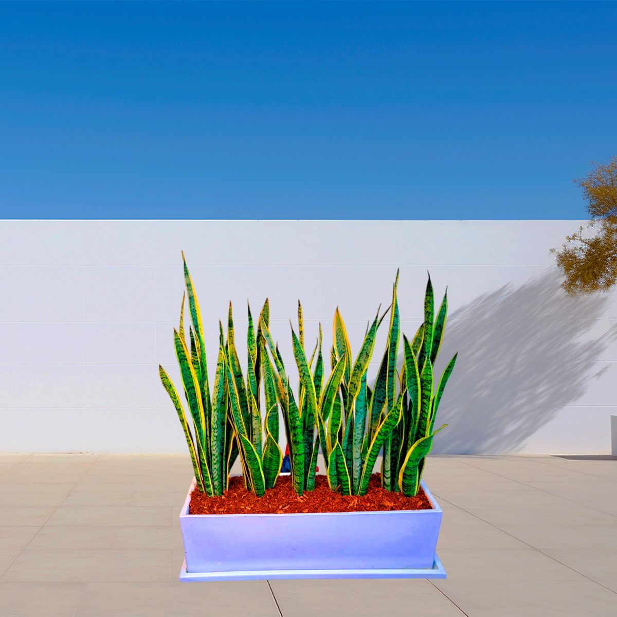 GENERICO - JARDINERA RECTANGULAR GRIS 100X30X30CM