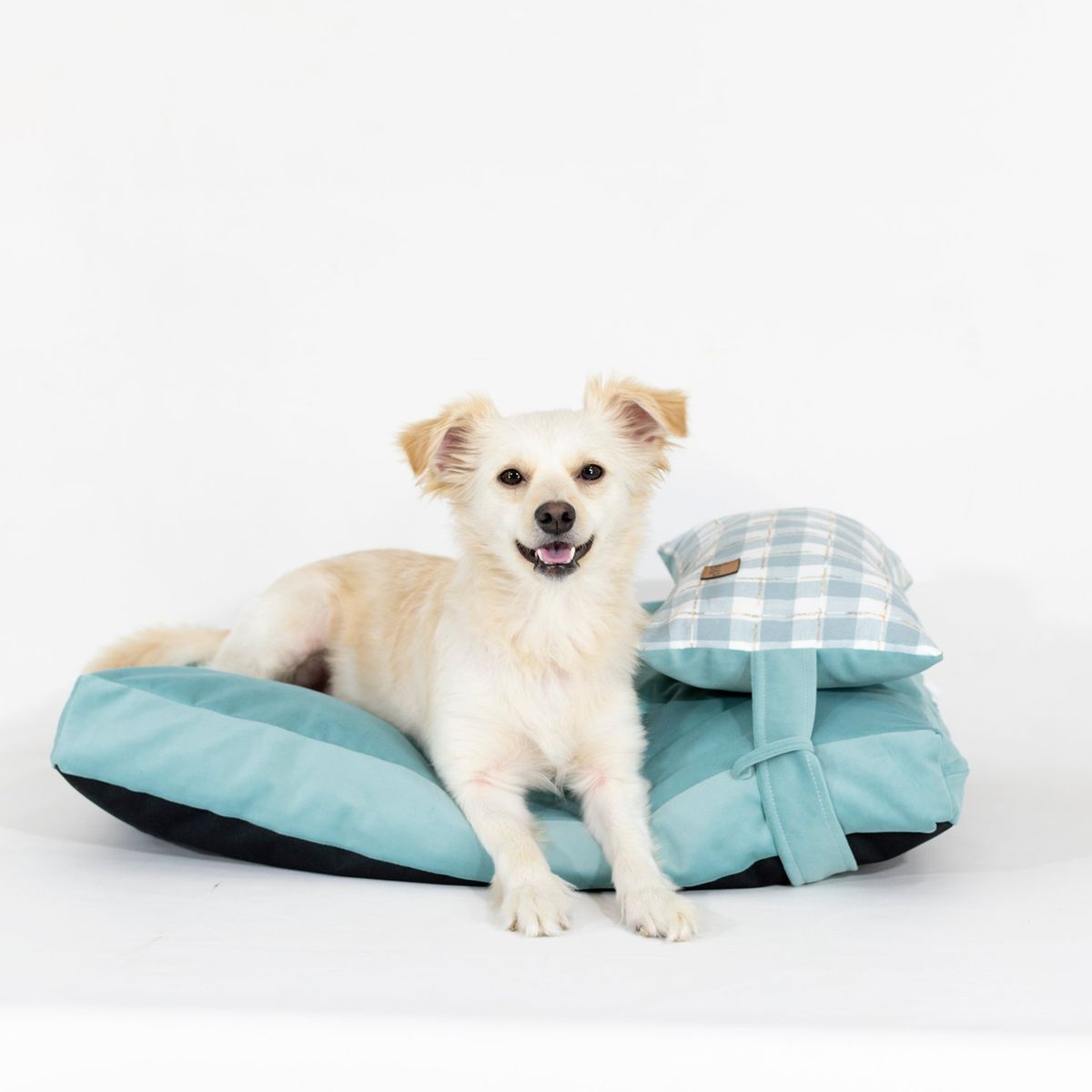 GENERICO - Cama Perro Cloud Jade M