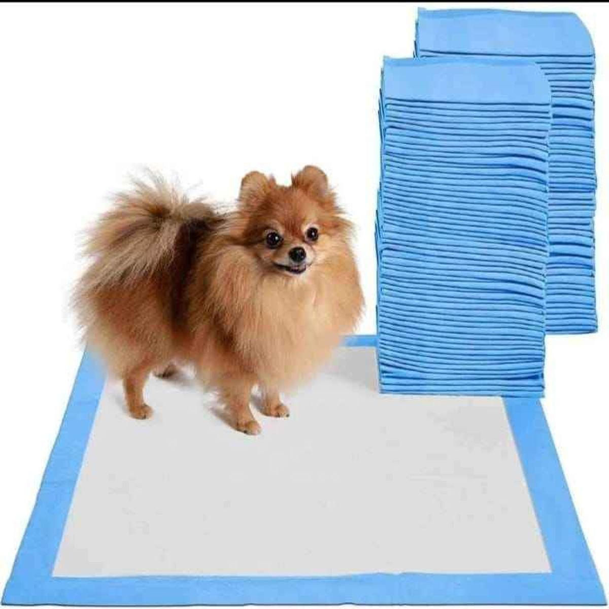 GENERICO - Pañales desechables para el piso para mascotas  talla M