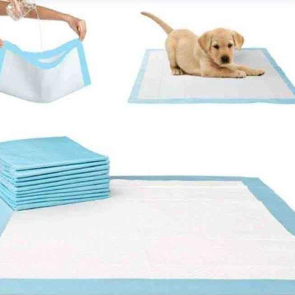 GENERICO - Pañales desechables para el piso para mascotas  talla M