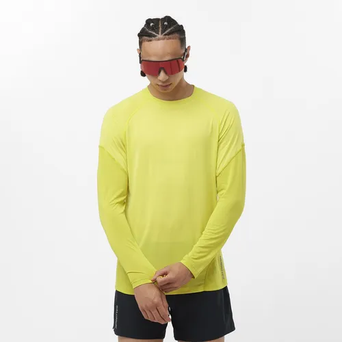 polos deportivos