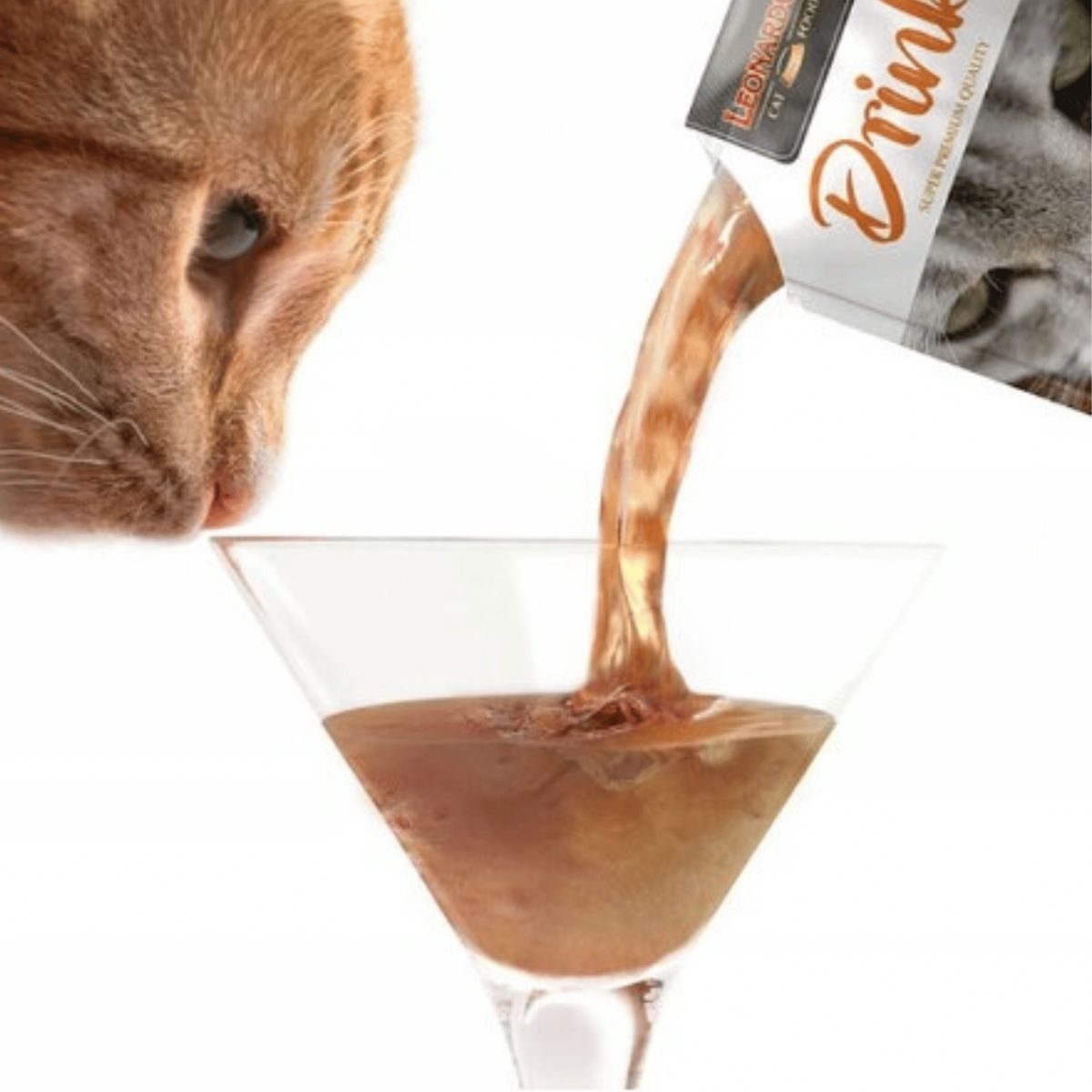 CAT FOOD LEONARDO - LEONARDO DRINK SALMON 40 GR