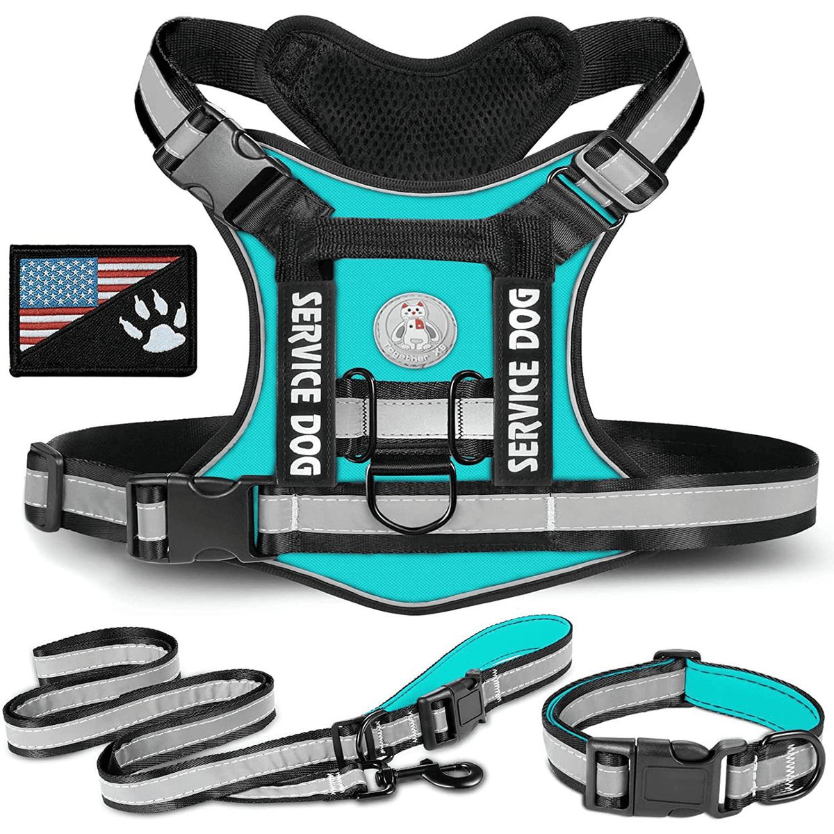 GENERICO - COLLAR Y PECHERA TURQUESA TALLA S TÁCTICA REFORZADA