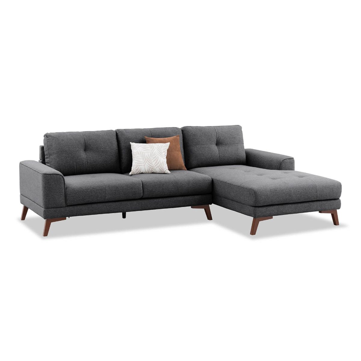 SHEGOSE - SG SECCIONAL DERECHO JANICK GRIS