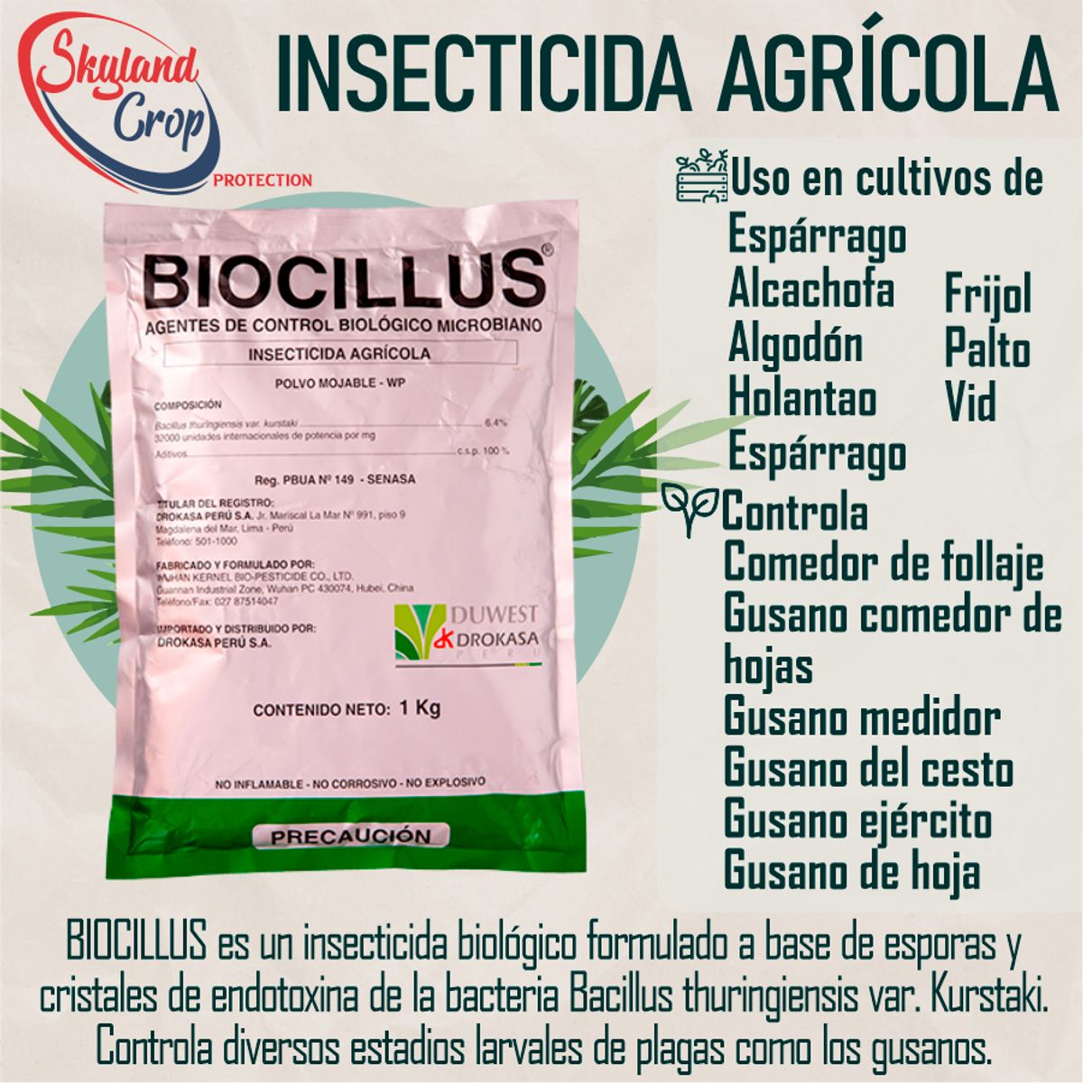 GENERICO - BIOCILLUS INSECTICIDA AGRÍCOLA