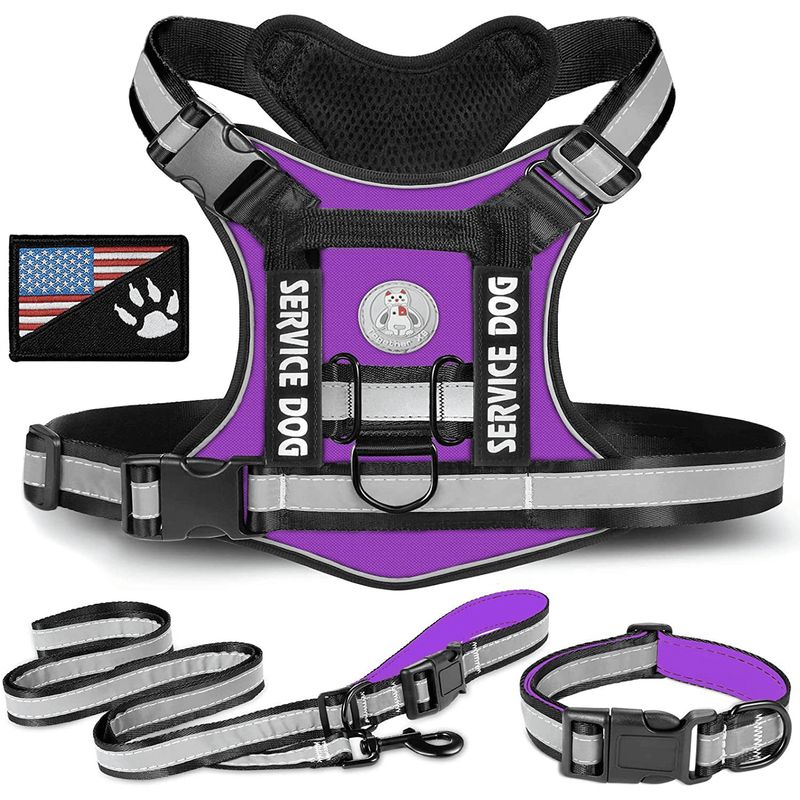 GENERICO - COLLAR Y PECHERA MORADA TALLA XL TÁCTICA REFORZADA PARA PERRO