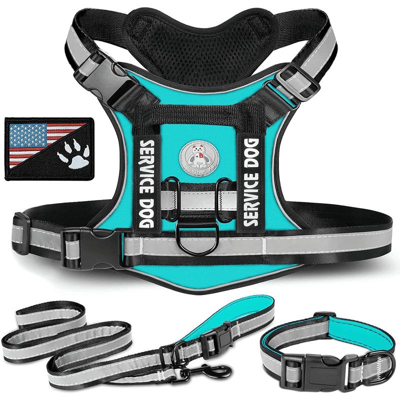 GENERICO - COLLAR Y PECHERA TURQUESA TALLA L TÁCTICA REFORZADA