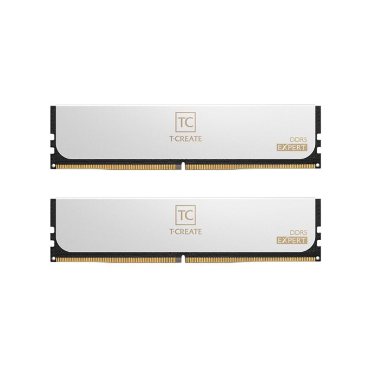 TEAMGROUP - MEMORIA RAM 64G2X32 TC EX 64 D5 BLANCO PN CTCWD564G6400HC34BDC01