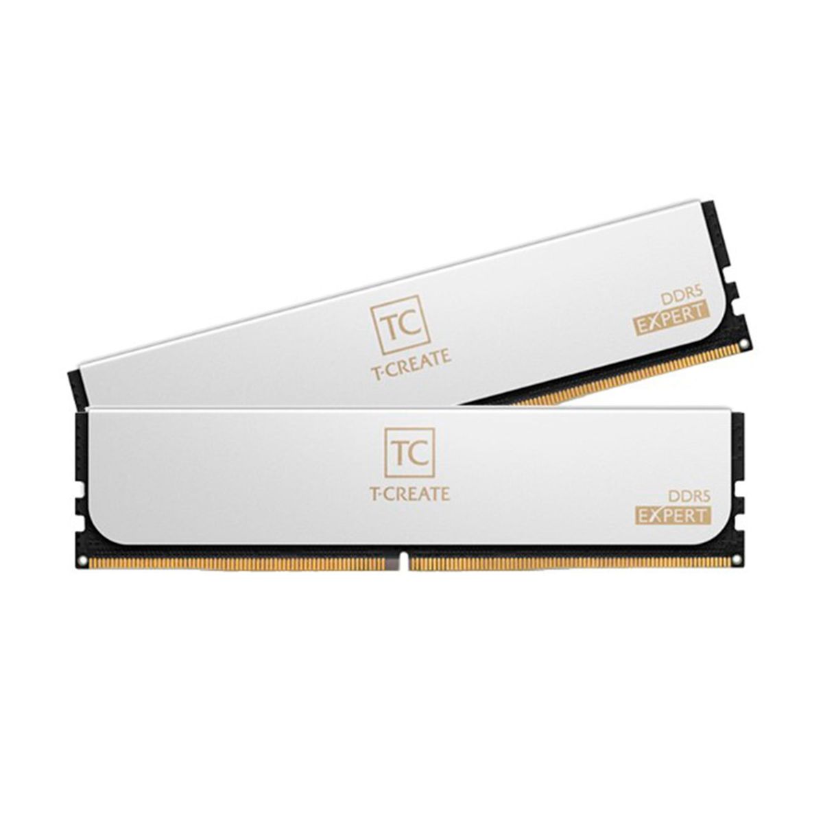 TEAMGROUP - MEMORIA RAM 64G2X32 TC EX 64 D5 BLANCO PN CTCWD564G6400HC34BDC01
